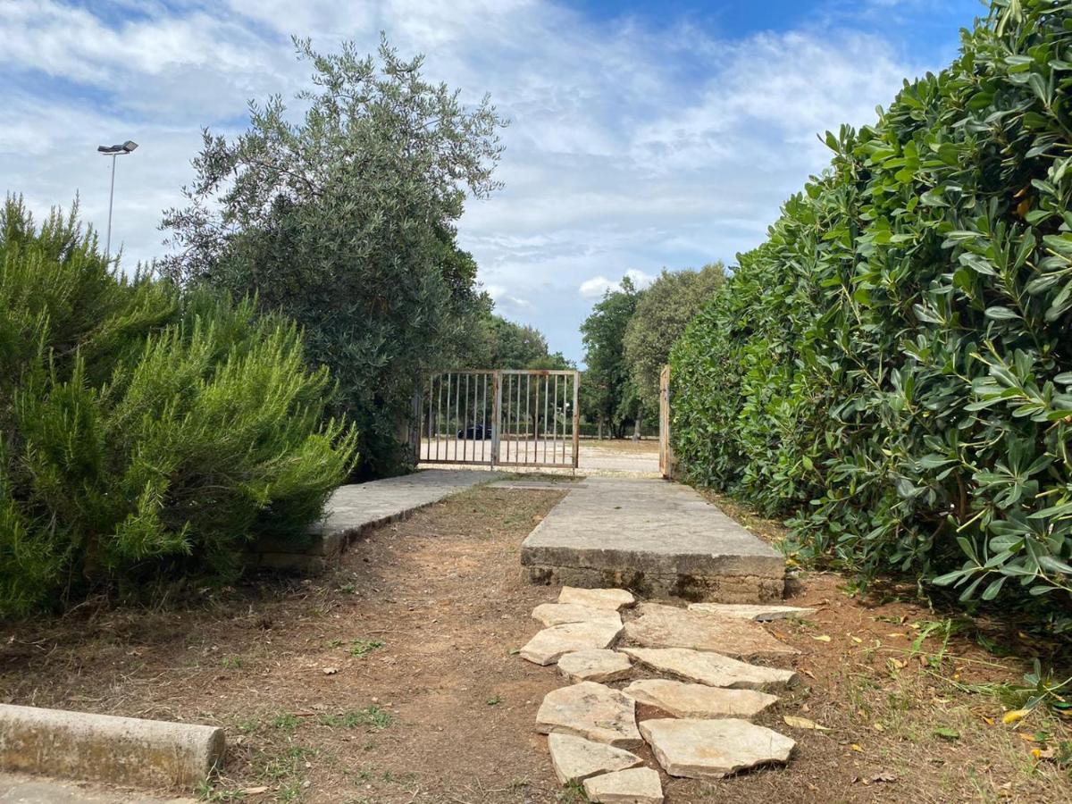 Apartment Soline Biograd Na Moru Exteriér fotografie